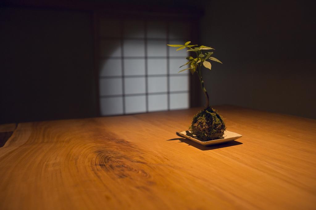 Ryokan Mokuzin Hakuba Eksteriør billede