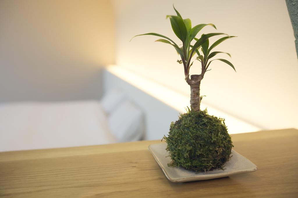 Ryokan Mokuzin Hakuba Værelse billede